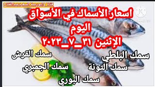 اسعار الأسماك اليوم/سعر السمك البلطي والتونة والبوري والجمبري اليوم الإثنين