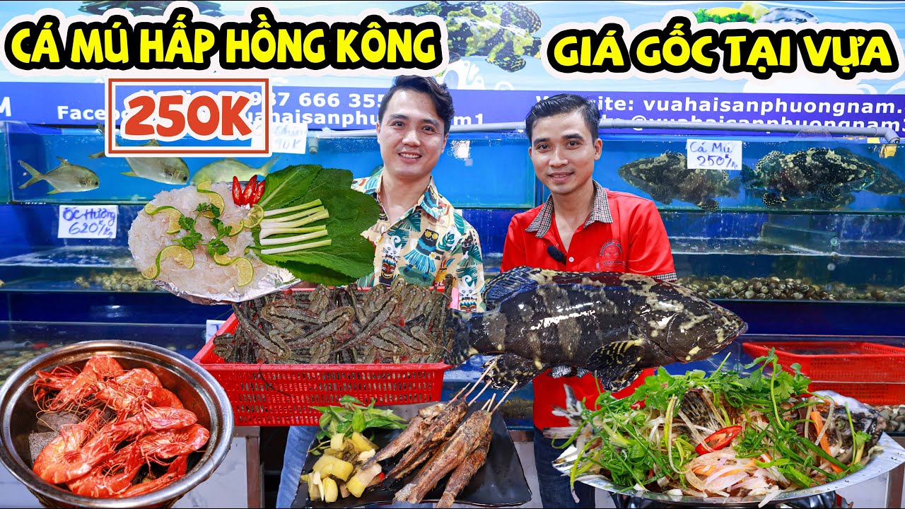 Ngon Rẻ Cá Mú Hấp Hồng Kông 250K 1 Ký, Ông Chủ Tự Tin Hải Sản Ngon Tươi Bao Giá Gốc Tại Vựa
