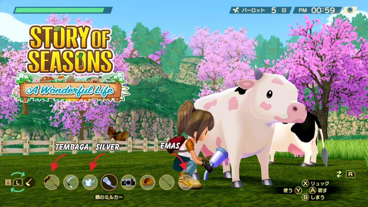 System Upgrade Tools? Story of Seasons A Wonderful Life YouTube