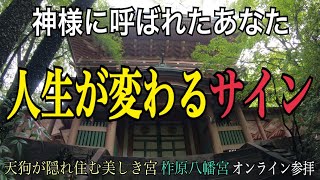 【※視聴注意】この動画に出会った瞬間次々と良い事が起こり始め人生が大きく変わるサイン！天狗の住む神社「柞原八幡宮」人生が激変するオンライン参拝