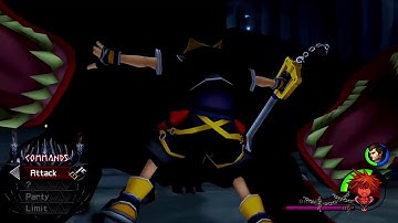 Kingdom Hearts II Final Mix - Beginner Olympus Coliseum/Cave of the Dead:Entrance Cerberus