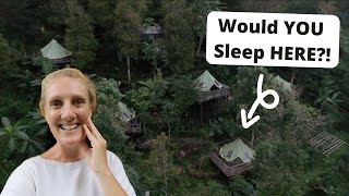 CAMPING in the MOUNTAINS of BALI?! [Munduk Vlog]