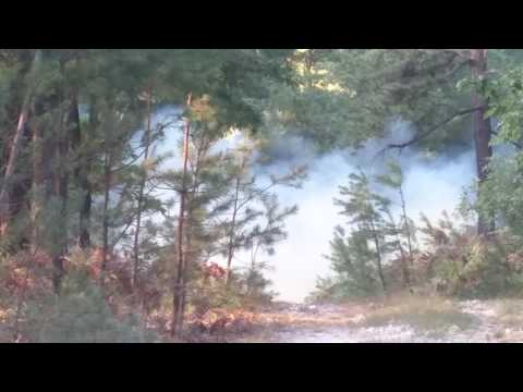 1 lb Tannerite Explosion