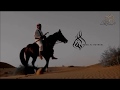 Arabian horseman skills    