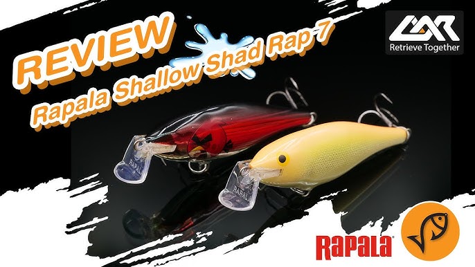 Rapala X Rap Shad Shallow 06 Fishing Lures on PopScreen