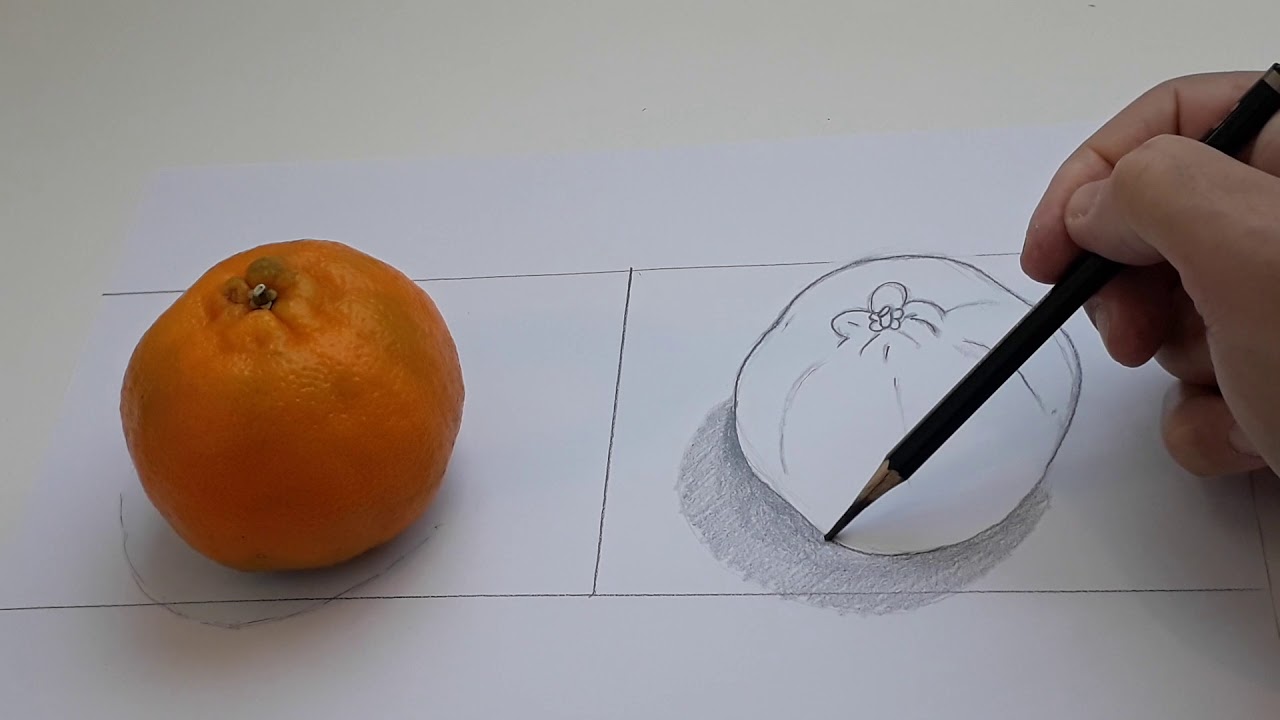 Desenho De Observação O Que é - REVOEDUCA