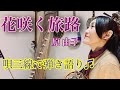 【花咲く旅路】原由子(歌詞・譜面掲載付き)三線で弾き語り♫伊右衛門CMソング!