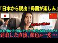 【海外の反応】「素晴らしい中国に戻りたい」5年間日本での単身赴任を終えた中国人キャリア女性、楽しみにしていた 母国帰国後“想定外の結末”に絶句・・・。