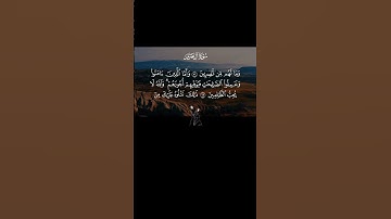 #القران_الكريم ﴿سورة آل عمران﴾ الفيديو 138 #allah #القرآن_الكريم #ياسر_الدوسري #capcut #quran
