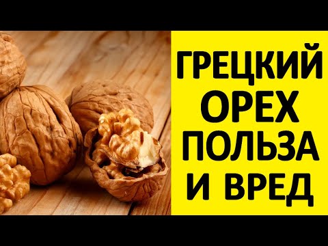 Грецкий орех польза и вред и что будет если есть грецкие орехи каждый день