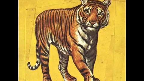 Speed, Glue & Shinki - Wanna take you home