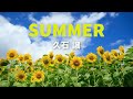 【作業用BGM】久石譲 Summer 1時間耐久