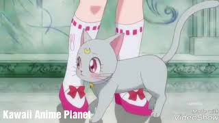 Luna And Artemis Daughtereng Sailor Moon Crystal