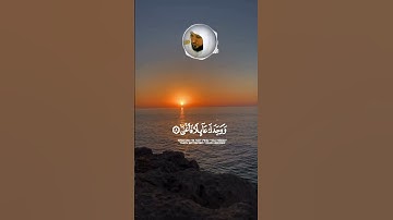 اكتب ما تؤجر عليه 🌹 القارئ الشيخ ماهر المعيقلي أرح سمعك 🌿 #قرآن