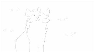 3 MAP WIPS