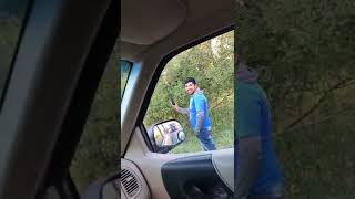 Tourist Does Not Get Mauled Although He Gave Himself Every Opportunity