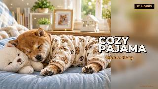 12-HOUR Red-Brown Shiba Puppy Sleep 🛏️ Momo's Cozy Pajama Nap All Night | Deep Sleep Music