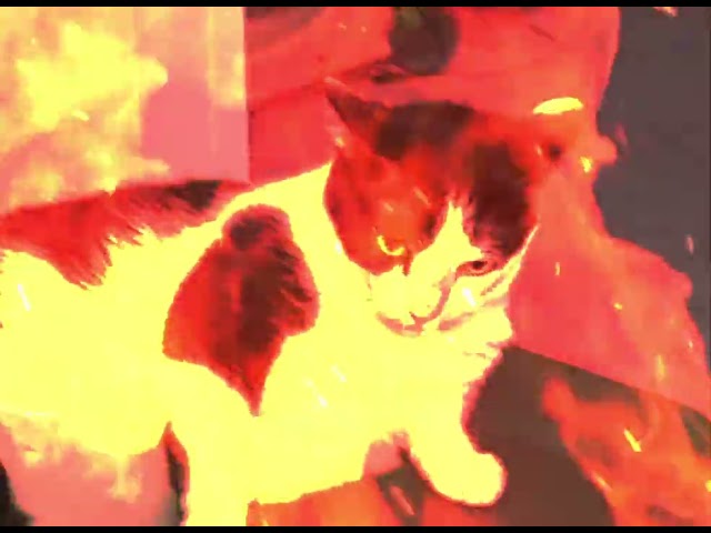 thumbnail img16x9