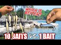FISHING EXPERIMENT: Are 10 Baits BETTER than 1??? (Surprising Results)