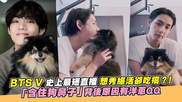 【小娛樂】BTS V 史上最短直播 想秀絕活卻吃癟？！「含住狗鼻子」背後原因有洋蔥QQ - 天天要聞