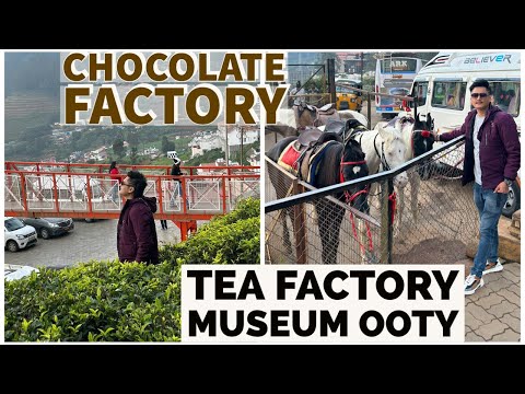 Tea Factory Museum Ooty | Chocolate Factory Full Detail video | Travel Places Ooty Tea Factory