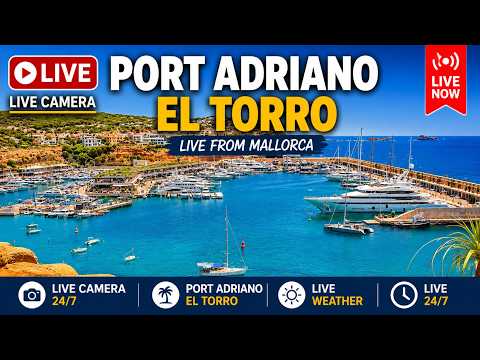 🌞 Mallorca Webcam Port Adriano El Toro | 4K UHD |  #Mallorca #Livestream #Balearics #Weather #beach