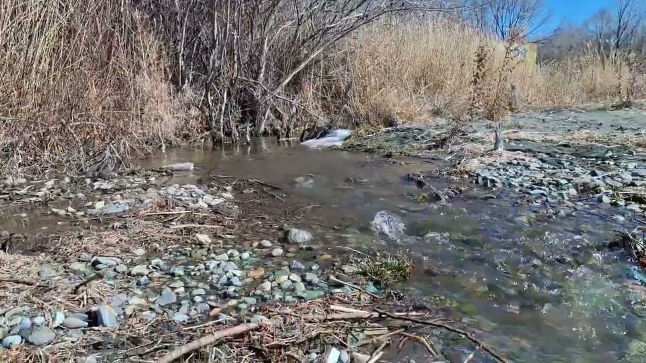 25 февраля 2026 г.