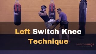 Left Switch (straight) Knee Strike - Muay Thai Technique