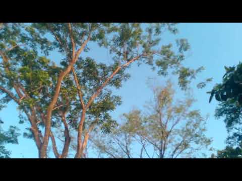 STORY #shorts #viral