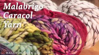 Malabrigo Caracol yarn: It's crazy fun!