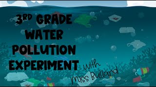 *3rd Grade* Water Pollution Experiment