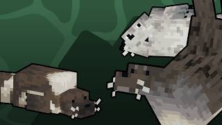 Celebrity Spawn Seals - Indev Net Worth