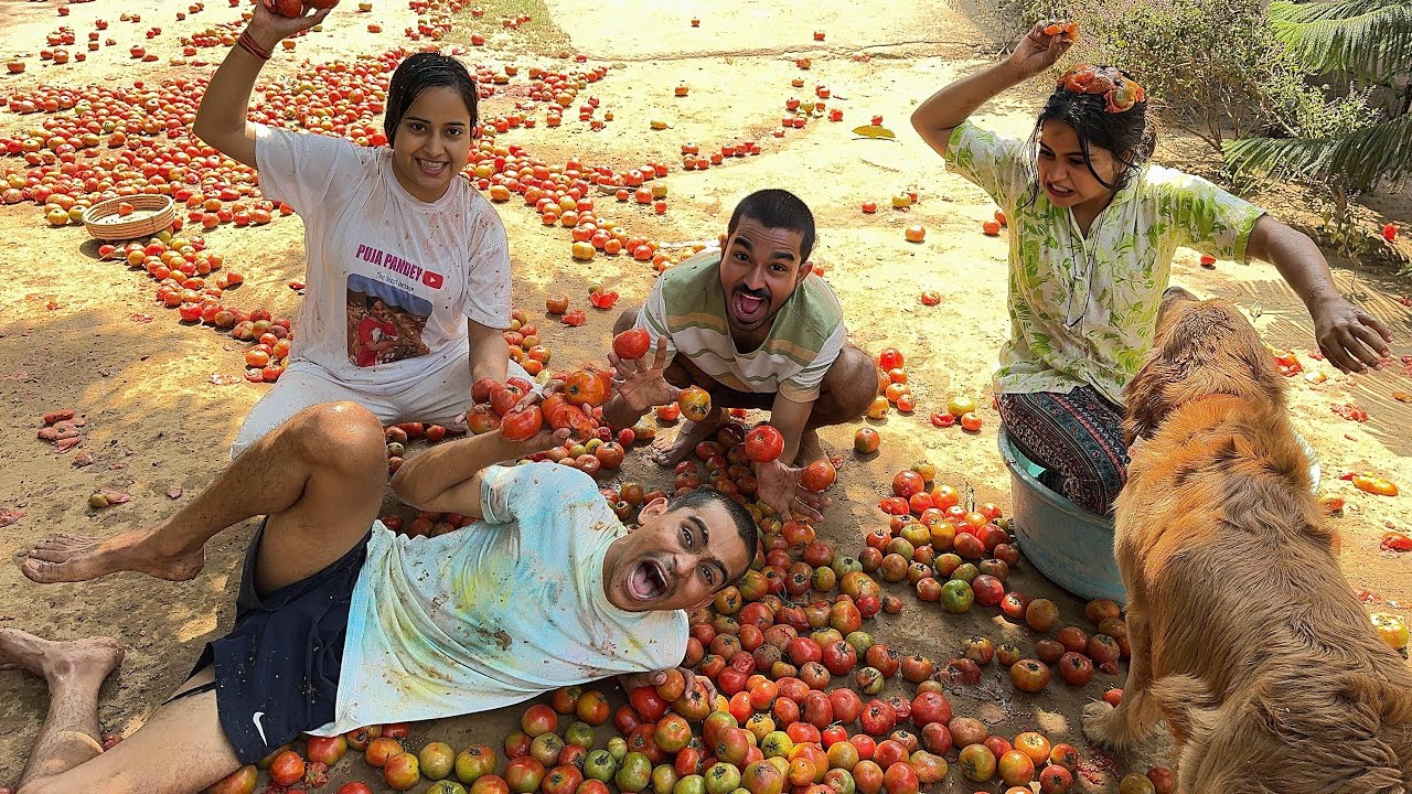 Tamatar ki holi 🥰 Spanish culture 🇪🇸