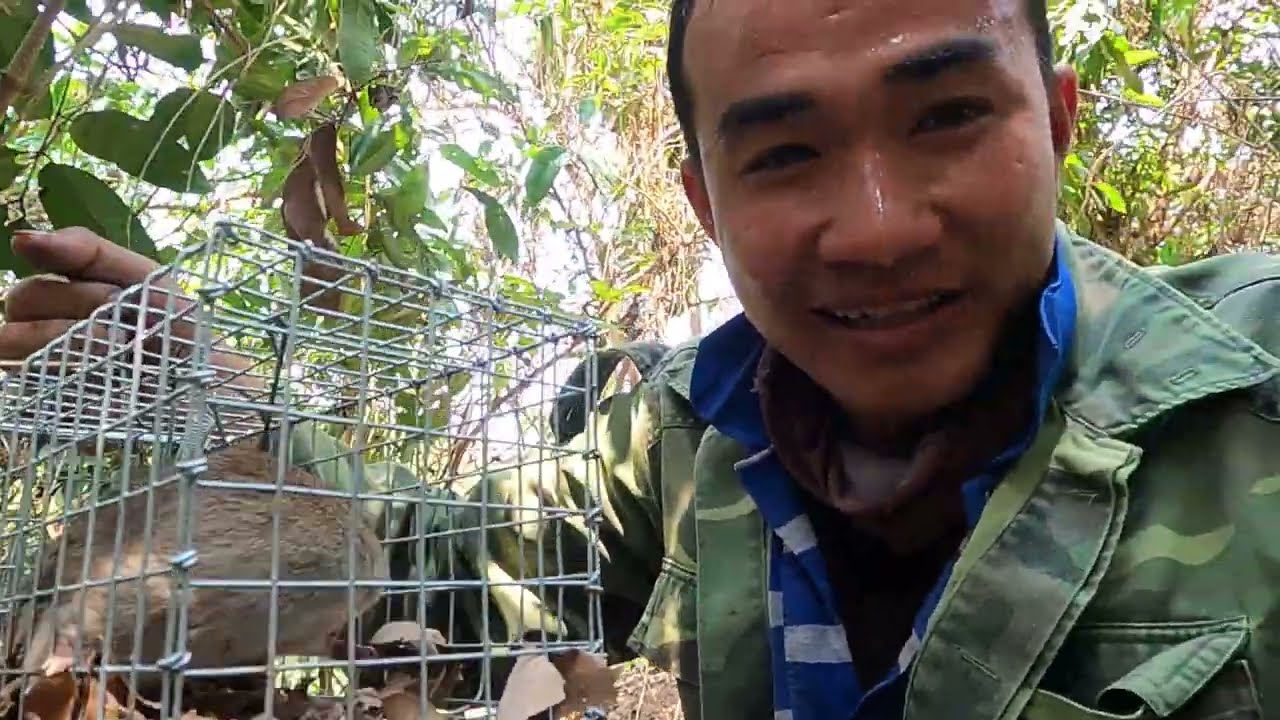 chinh phạt rừng già ám ảnh  giữa rừng