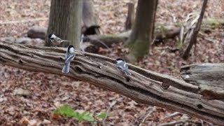 Parcs nature dans Portneuf