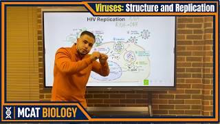 Viruses: Stucture & Replication (+ vs - sense) | MCAT Biology