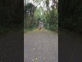 大掃除をする奇妙な踏切 #Shorts #踏切カンカン #strangesounds