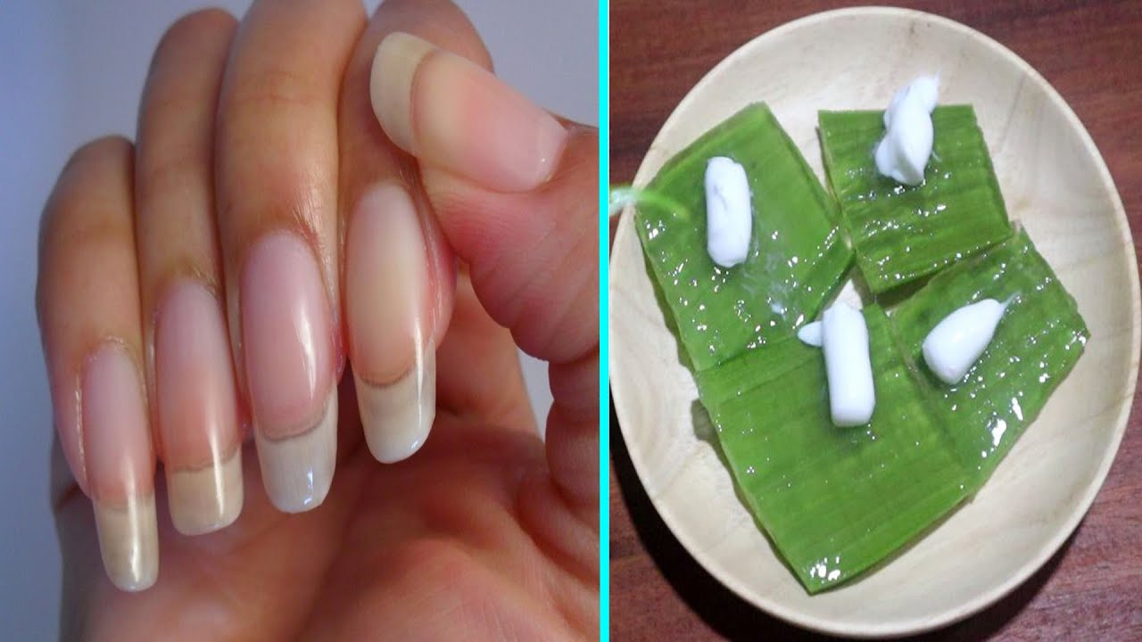 Supper Nails Growth with Aloe Vera || How to Growth Your Nails Fast