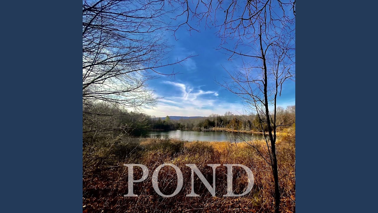 Watch Pond on YouTube Watch Pond on YouTube