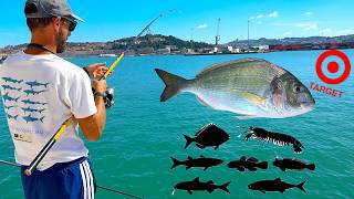 L'Obiettivo è l'ORATA… MA Peschiamo di TUTTO: 12 Specie DIVERSE! Pesca a Fondo dal Porto