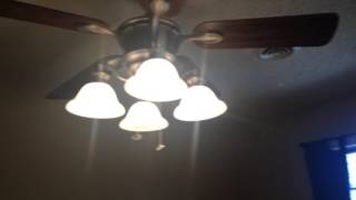 IMG 14561