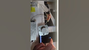 Casambi CBU ASD and Dali MCU dimmer in same line.