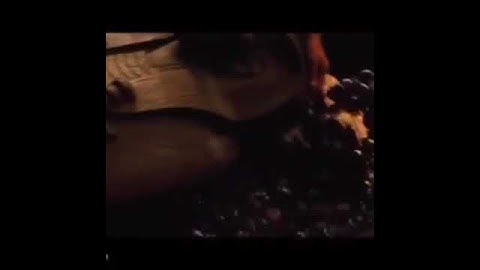 Pharaoh x Mummy Transformatiom Lobby Edit | Pharaoh Max Mummy Set |BGMI/PUBGM