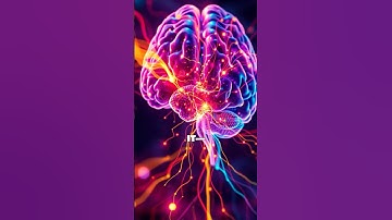 You Use More Than 10% of Your Brain