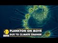 Plankton migrate due to climate change, could cause 17% dip in marine life | Latest English News