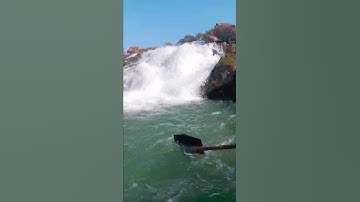 Water fall rajrappa #shorts #youtube #video
