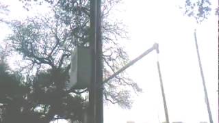 0901 143811