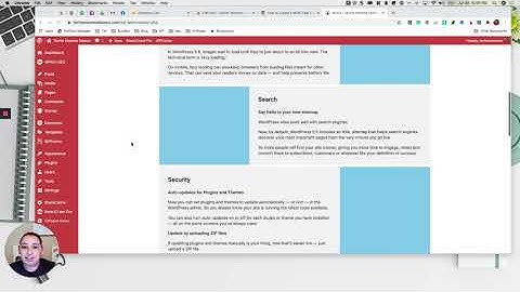 WordPress 5.5 Updates