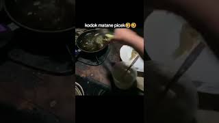kodok matane picek
