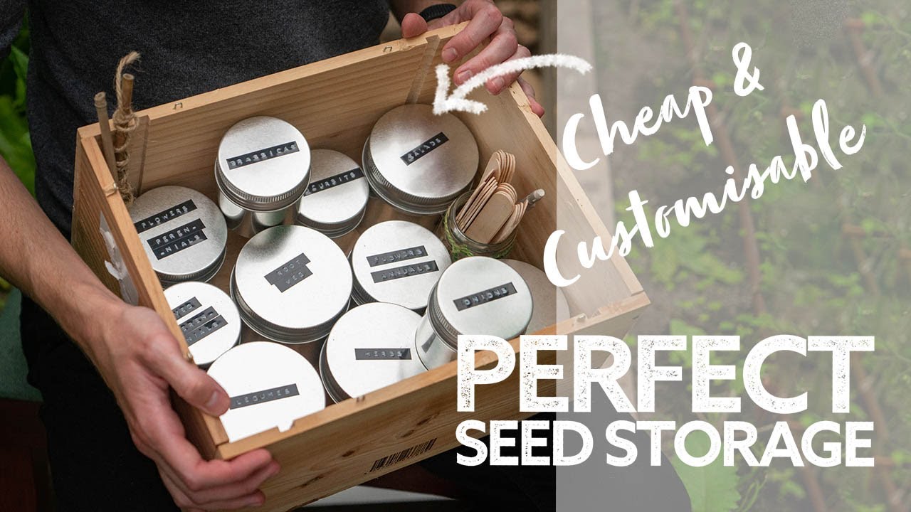 Simple Way to Organize and Store Seeds · Hidden Springs Homestead